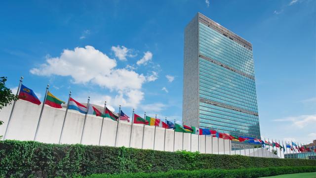 BM İnsan Hakları Konseyi’nin 51’inci oturumu başladı