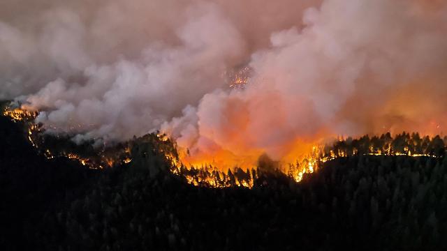 Fransa’da 3 bin hektardan fazla yeşil alan yandı