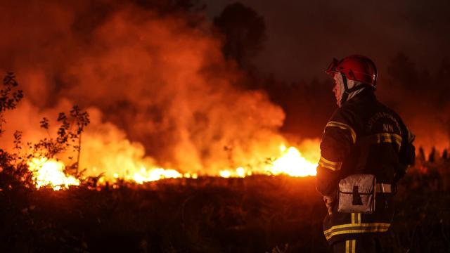 AB ülkelerindeki orman yangınlarında bu yıl 750 bin hektar alan kül oldu