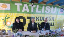Tatlısu Ot Kültür Festivali 3 Mart Pazar günü yapılıyor – BRTK