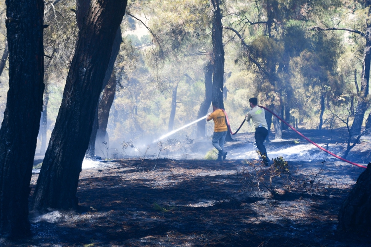 İzmir ve Balıkesir’deki orman yangınları kontrol altına alındı