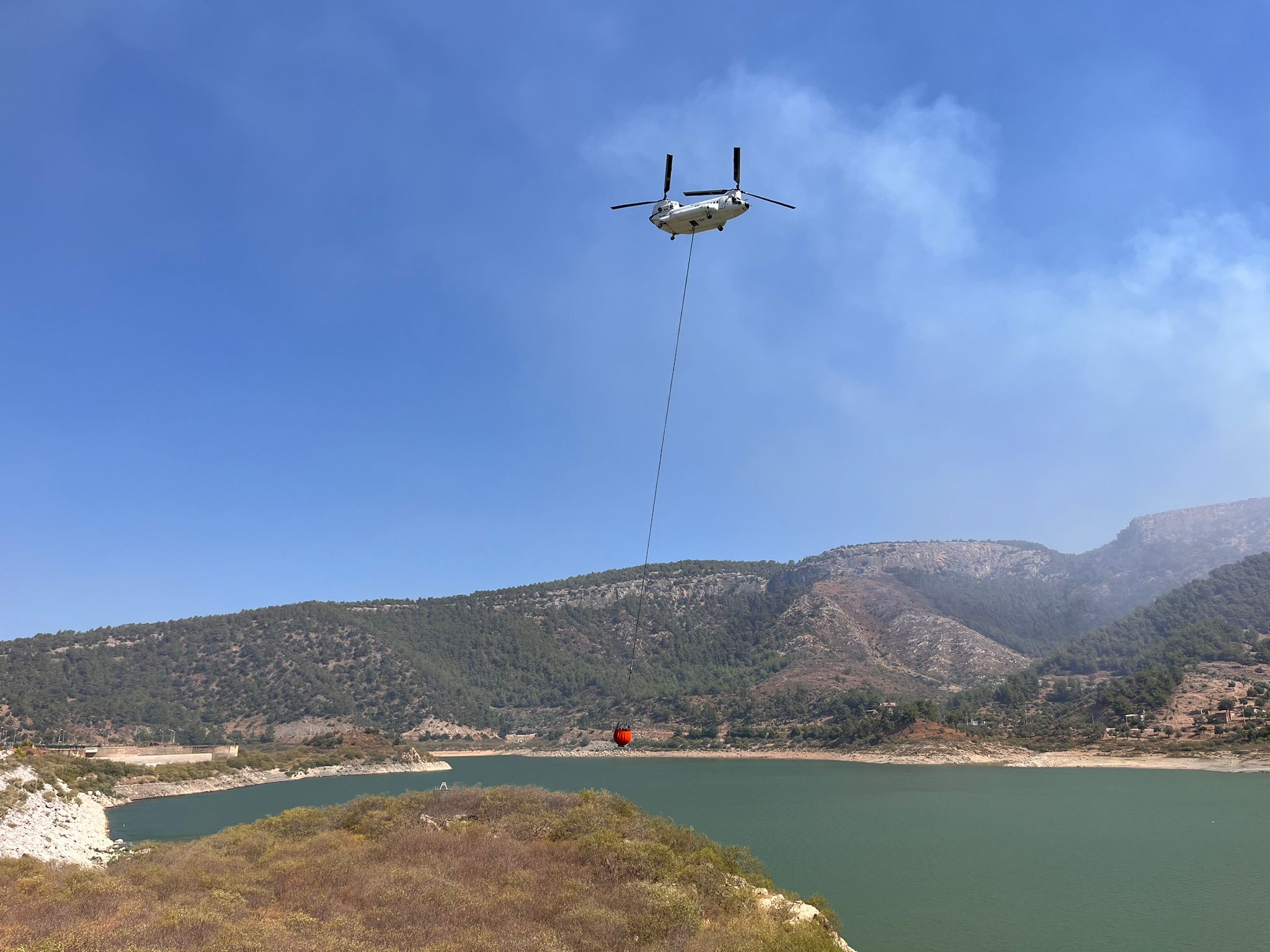 Muğla’nın Milas ilçesinde orman yangını çıktı