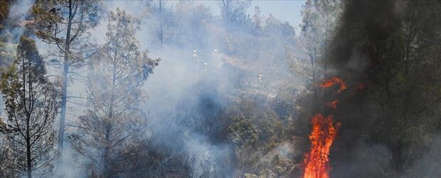 ABD’nin California eyaletindeki orman yangınları nedeniyle tahliye çalışmaları başladı