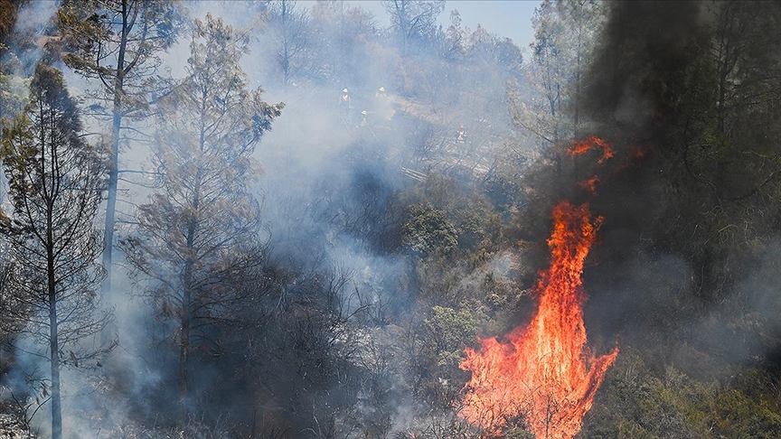 ABD’nin California eyaletindeki orman yangınları nedeniyle tahliye çalışmaları başladı