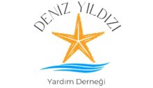 Deniz Yıldızı Yardım Derneği, başkan ve yönetim kurulu belirlendi… Başkan Özlem Ratipler