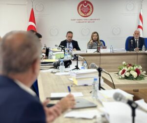 Komitede Türk Ajansı Kıbrıs ve Sivil Savunma Teşkilat Başkanlığı bütçeleri kabul edildi