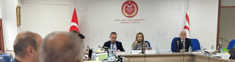 Komitede Türk Ajansı Kıbrıs ve Sivil Savunma Teşkilat Başkanlığı bütçeleri kabul edildi