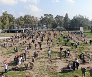 “El ele yeşil bir geleceğe” sloganıyla ağaçlandırma bayramı düzenlendi